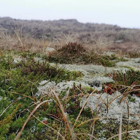 6 Person In Ringk Bing *