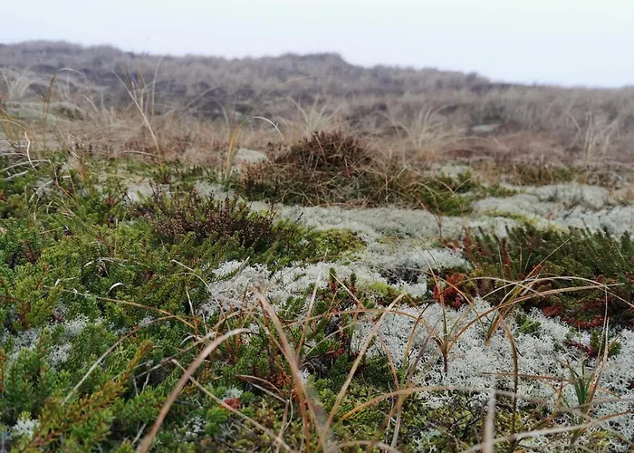 6 Person In Ringk Bing *