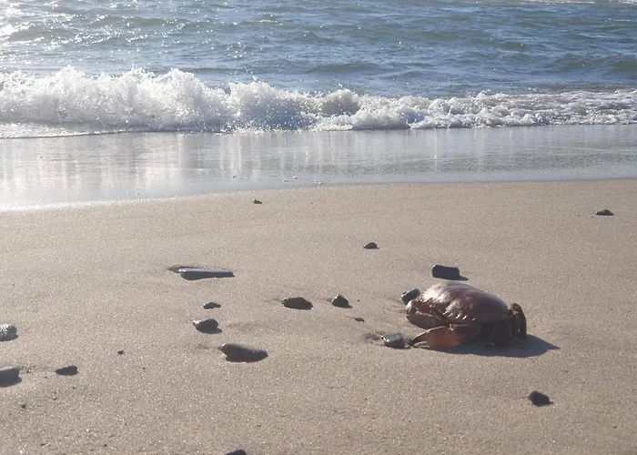 Holiday home 6 Person In Ringk Bing Ringkobing